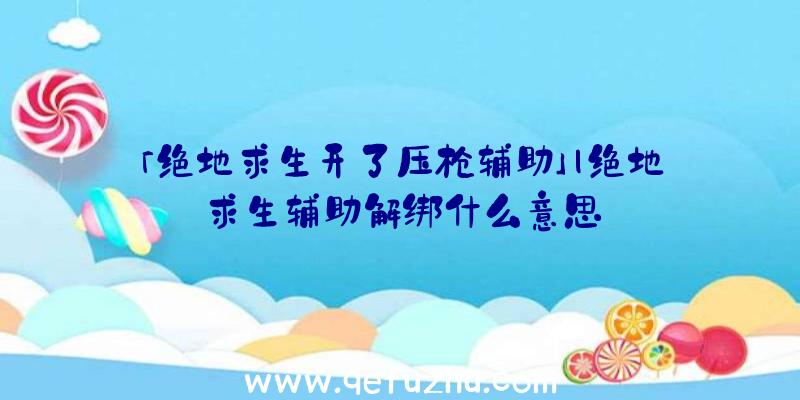 「绝地求生开了压枪辅助」|绝地求生辅助解绑什么意思